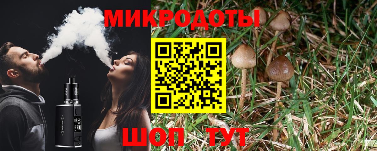 Псилоцибиновые грибы Magic Shrooms Ливны