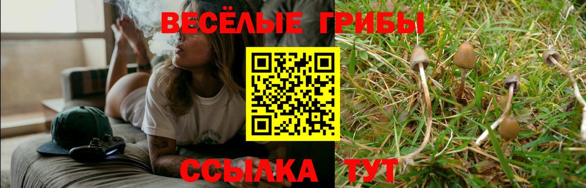 Ливны  Псилоцибиновые грибы мухоморы  как найти   Галлюциногенные грибы мицелий  Вход с VPN 